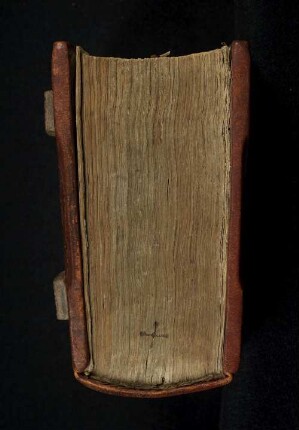 Liber bibliae moralis
