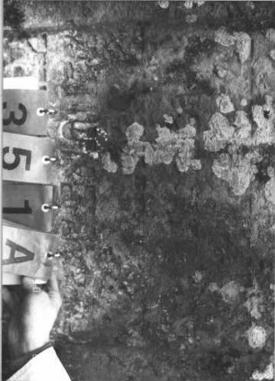 Grabstein 351 (Index: 99609075) Material: Sandstein Zustand: beschädigt, sehr stark verwittert mit sehr großm Textverlust Maße HxBxT: 96x70x13 cm Beschreibung: Stele, Segmentbogenabschluß Besonderheit: Foto unscharf: Grabstein 351A