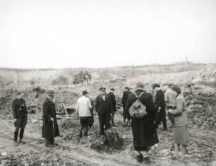 Zittauer Becken. Tongrube Hartau. Geologen am Zypressenstock