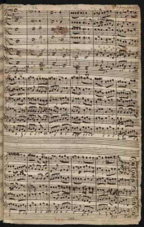 Du Tochter Zion freue dich; V (4), orch, bc; B-Dur