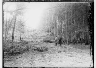 Kunstplatten für Vergrößerung - Landschaften für Gruppen; Sigmaringen in Richtung Bingen; Umgestürzte Bäume auf einem Waldweg, davor zwei Männer