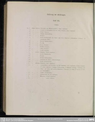 Erklärung der Abbildungen. Tafel XIV