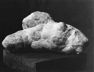 Stürzender Torso