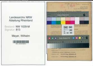 Entnazifizierung Wilhelm Meyer , geb. 21.06.1878 (Holzhaendler)