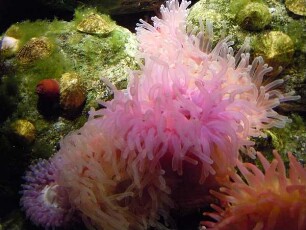 Stralsund - Ozeaneum : Aufgenommen im Ozeaneum von Stralsund am 21. April 2011
