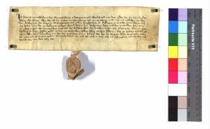 Lehenbrief Heinrichs von Westhausen, Kustor des Stifts zu Ellwangen, für Katharina Gigerin und Ellie Großainzin über ein halbes Lehen zu Nellingen (Nallingen)
