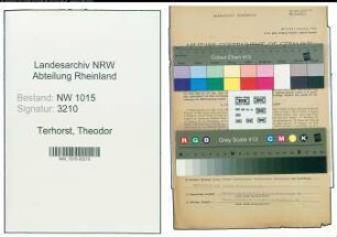 Entnazifizierung Theodor Terhorst , geb. 22.12.1917 (Justizinspektor)