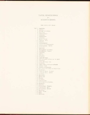 Irrenhaus, Berlin-Buch: Inhaltsverzeichnis (aus: Neubauten der Stadt Berlin, Bd. VII, 1908)