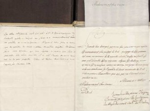 Henriette von Hessen-Darmstadt an Karoline Luise von Baden (Piacenza)