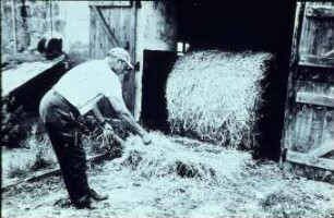 Fotografie: Fütterungstechnik, Heu, Rundballen, Handarbeit