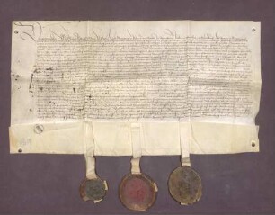 Vergleich zwischen Markgraf Karl I. von Baden und Bischof Matthias von Speyer wegen des Wildbanns im Hohenberg, den Löchern und anderen daran stoßenden Wäldern und der Öffnung im Kirchhofe zu Jöhlingen, des Geleits von Obergrombach bis an die Riegeln zu Singen, von Bruchsal bis Wössingen an die Bach und von Singen bis Obergrombach, von Wössingen bis Sinsheim und von da bis Obergrombach