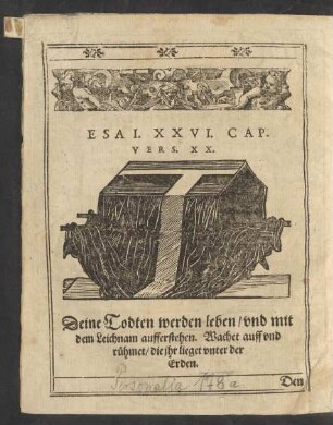 Esai. XXVI. Cap. Vers. XX.