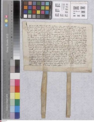 Mühlheim: Recognitio Valperti abbatis Selgenstadensis, quod Conradus Thesaurarius monasterii predicti redditus seu proventus annuos, videlicet qua...