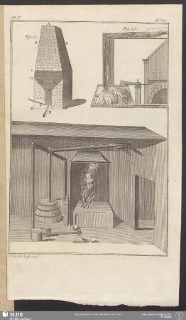 Pl. V. 4e. Sec.