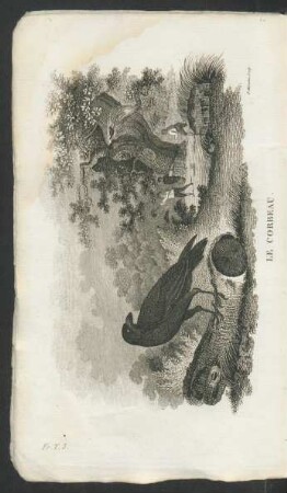 Tafel: Le corbeau.
