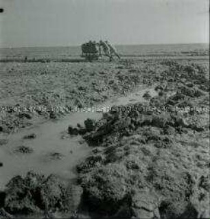 Einsatz des Reichsarbeitsdienstes bei Erdarbeiten auf der Hallig Hooge