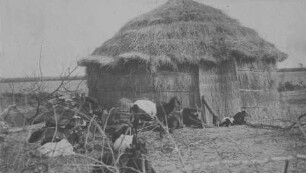 Bauernhaus mit Ziegen in Kor Atar [Reise nach dem Sudan, Band 2]