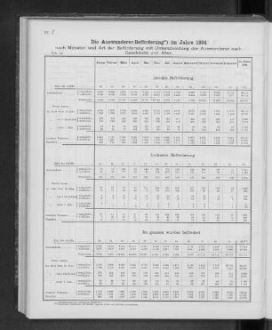 Die Auswanderer-Beförderung im Jahre 1904
