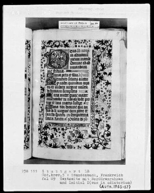 Stundenbuch — Initiale D (eus in adiutorium) und Vollbordüre, Folio 89recto