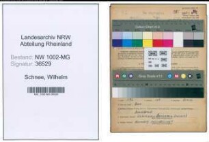 Entnazifizierung Wilhelm Schnee , geb. 22.11.1902 (Fahrer)