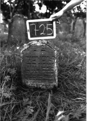 Grabstein 725 (Index: 100104797) Material: Sandstein Zustand: unten verwittert, eingesunken Maße HxBxT: 61x38x8 cm Beschreibung: Stele, Konvexbogenabschluss, Schriftfeld eingetieft, eingesunken: Grabstein 725