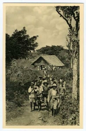 Urwaldschule im afrikanischen Busch (Ost-Afrika)