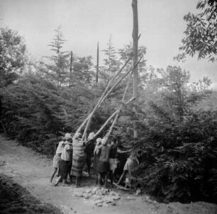 Aufstellen eines Antennenmastes : Eine Gruppe Männer stellen einen Antennenmast auf der Plantage von Isolde Hentschel auf