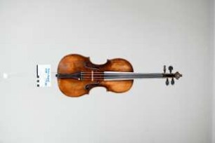 Violine