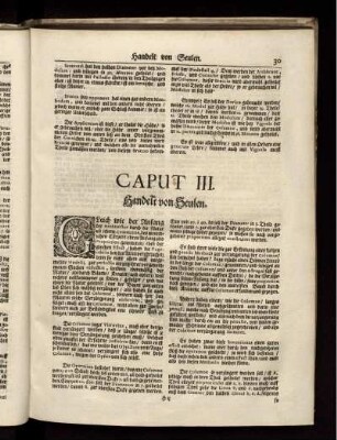 Caput III. Handelt von Seulen