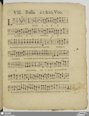 VII. Laudate Dominum omnes gentes