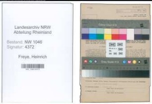 Entnazifizierung Heinrich Freye , geb. 24.01.1899 (Milchkontrollassistent)