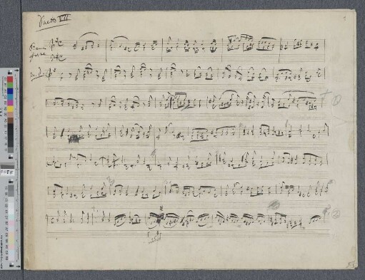 Duetto VII