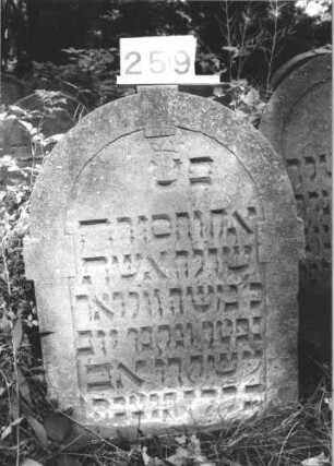 Grabstein 259