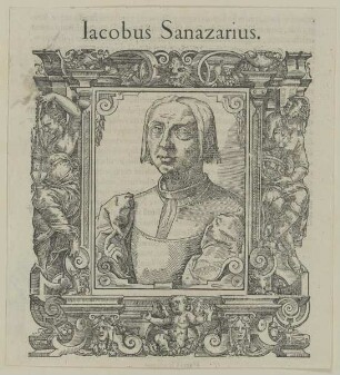 Bildnis des Iacopo Sannazaro