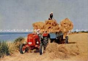 Porsche-Traktor beim Heuaufladen