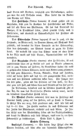 Sechste Ordnung. Laufvögel (Cursores)