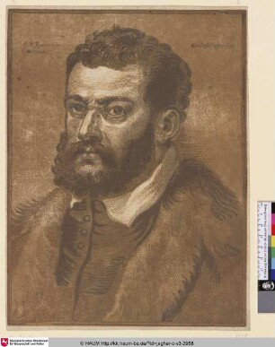 [Bust of a Bearded Man; Bildnis eines bärtigen Mannes]