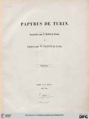 Band 2: Papyrus de Turin: Planches