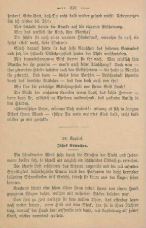 26. Kapitel. Jähes Erwachen.