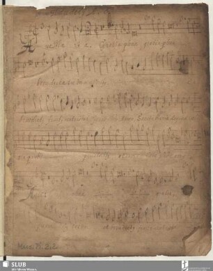 Gallus, Iacobus: Ave Maria [= SII]