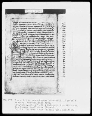 Bernhardus, Sermones quadragesimales — Initiale Q (ui habitat), Folio 2 verso