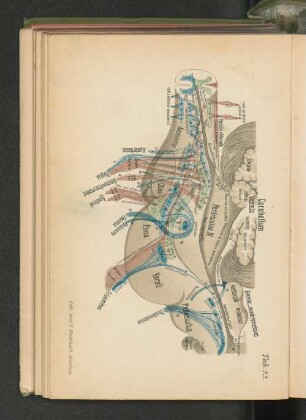 Tab. 23.