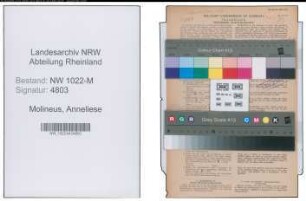 Entnazifizierung Anneliese Molineus , geb. 04.08.1899 (Lehrerin)