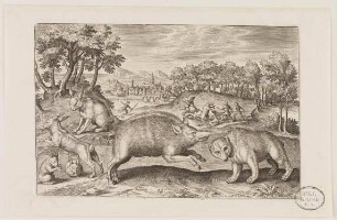Wildschweine, Bär und Hasen aus (Animalium Qvaddrupedum)