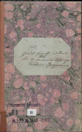 Zivilstandsregister der katholischen Gemeinde Natzungen, Kreis Warburg (GAHT 1810). (Gemeinde: Katholische Gemeinde Natzungen)