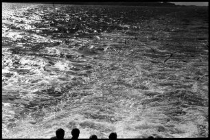 Bergen: Fjordausfahrt von Bergen
