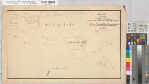 Dülmen (Dülmen), Teilung der Mitwicker Mark, Brouillonkarte Beibl., Privatgrundbesitz