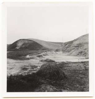 Grünflächenplanung Wirsitz: Landschaft