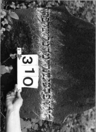 Grabstein 310 (Index: 99803476) Material: Sandstein Zustand: völl. verwitt/eingesunk(befestigt)/Textve Maße HxBxT: 71x59x10 cm Beschreibung: Stele mit Karniesbogen und profiliertem Rand: Grabstein 310 (Detailaufnahme)