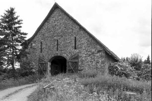 Hof Treisbach (Scheunen, Bruchstein); Vöhl, Hof Treisbach 1